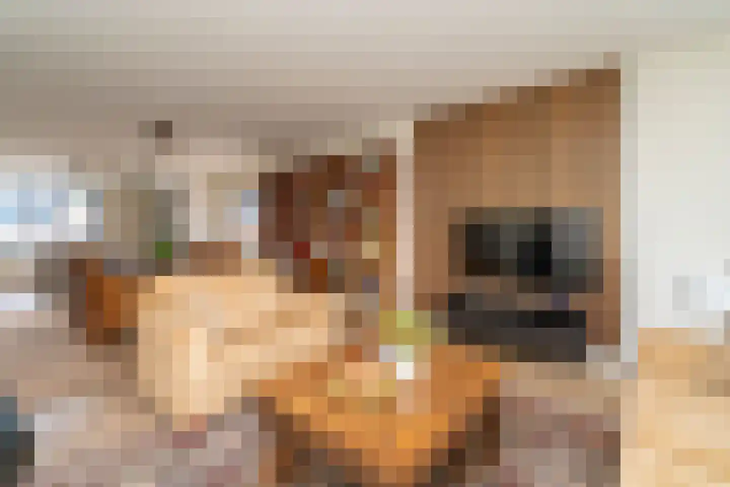 Tivolistraat 62 15 Tilburg thumbnail 21