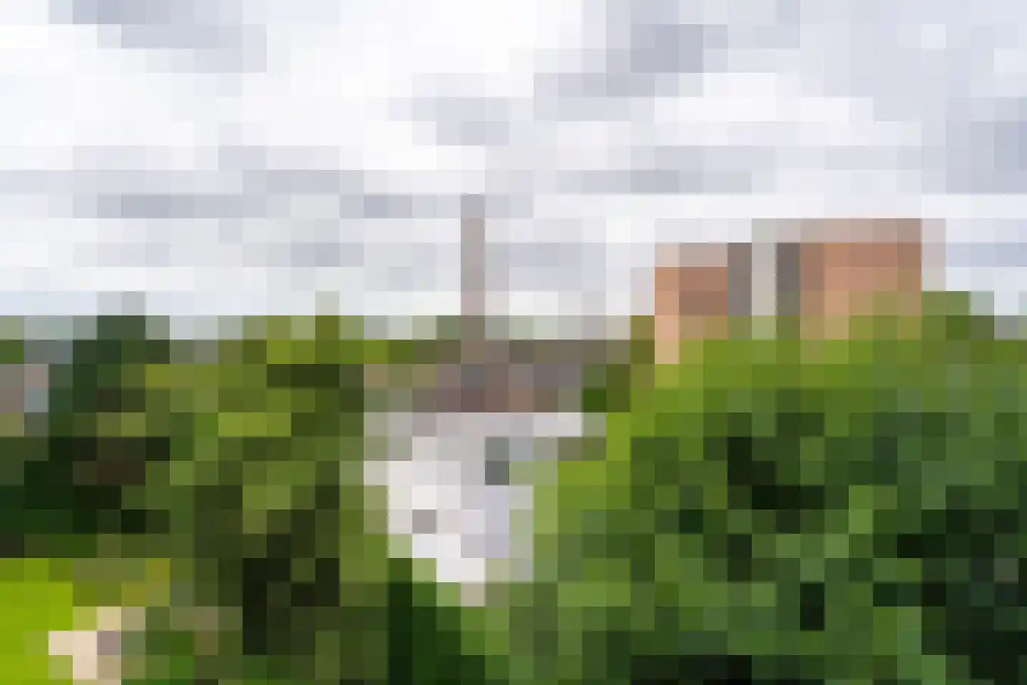 Tivolistraat 62 15 Tilburg thumbnail 30