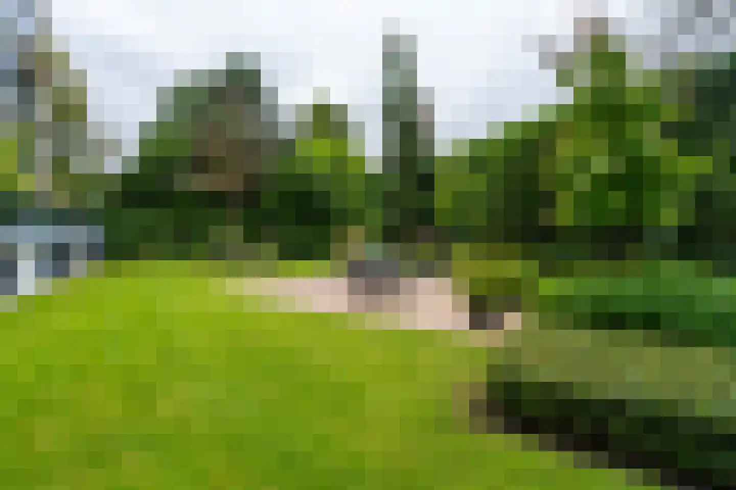Tivolistraat 62 15 Tilburg thumbnail 31