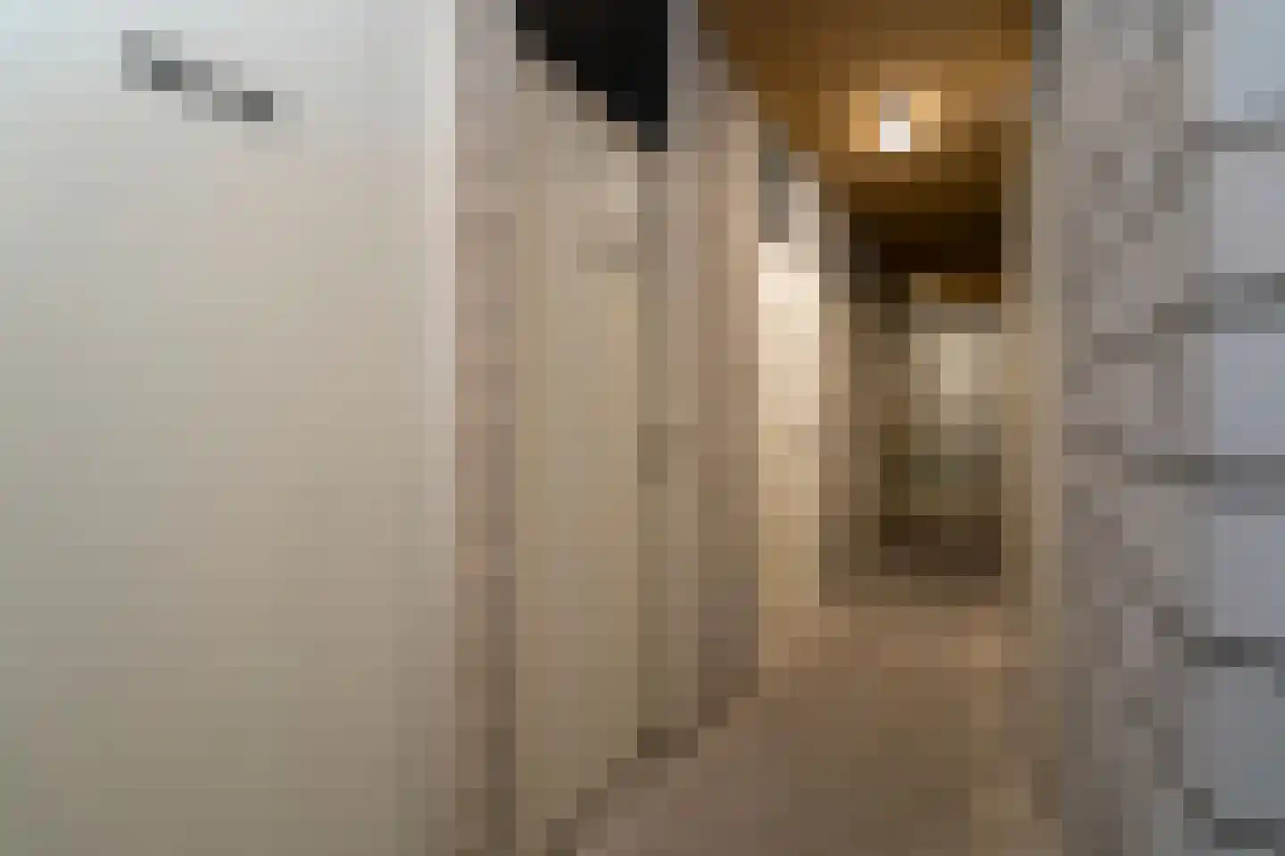 Tivolistraat 62 15 Tilburg thumbnail 33