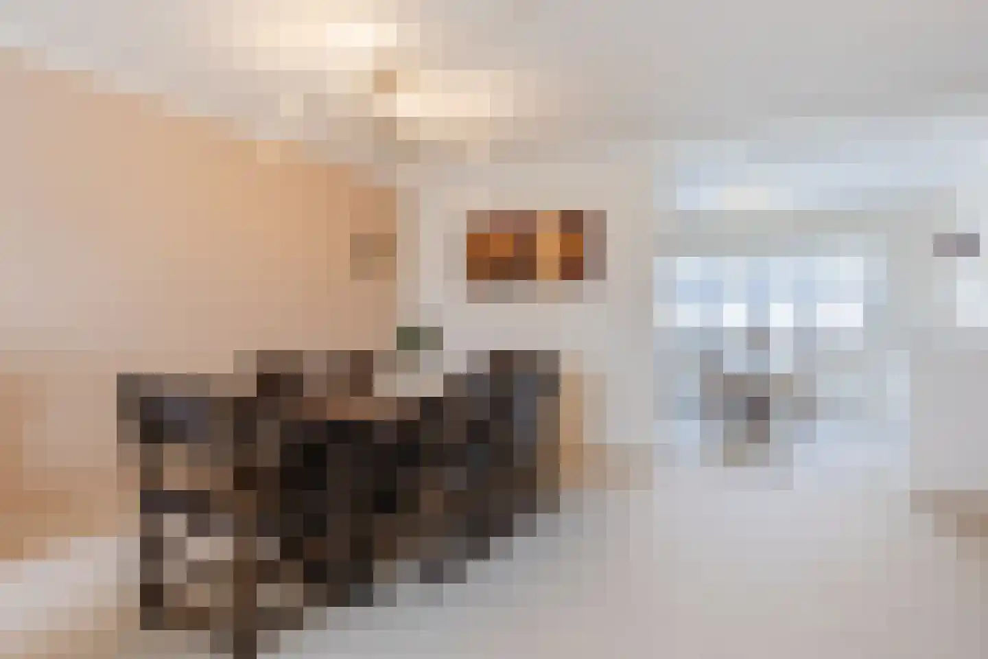 Tivolistraat 62 21 Tilburg thumbnail 12