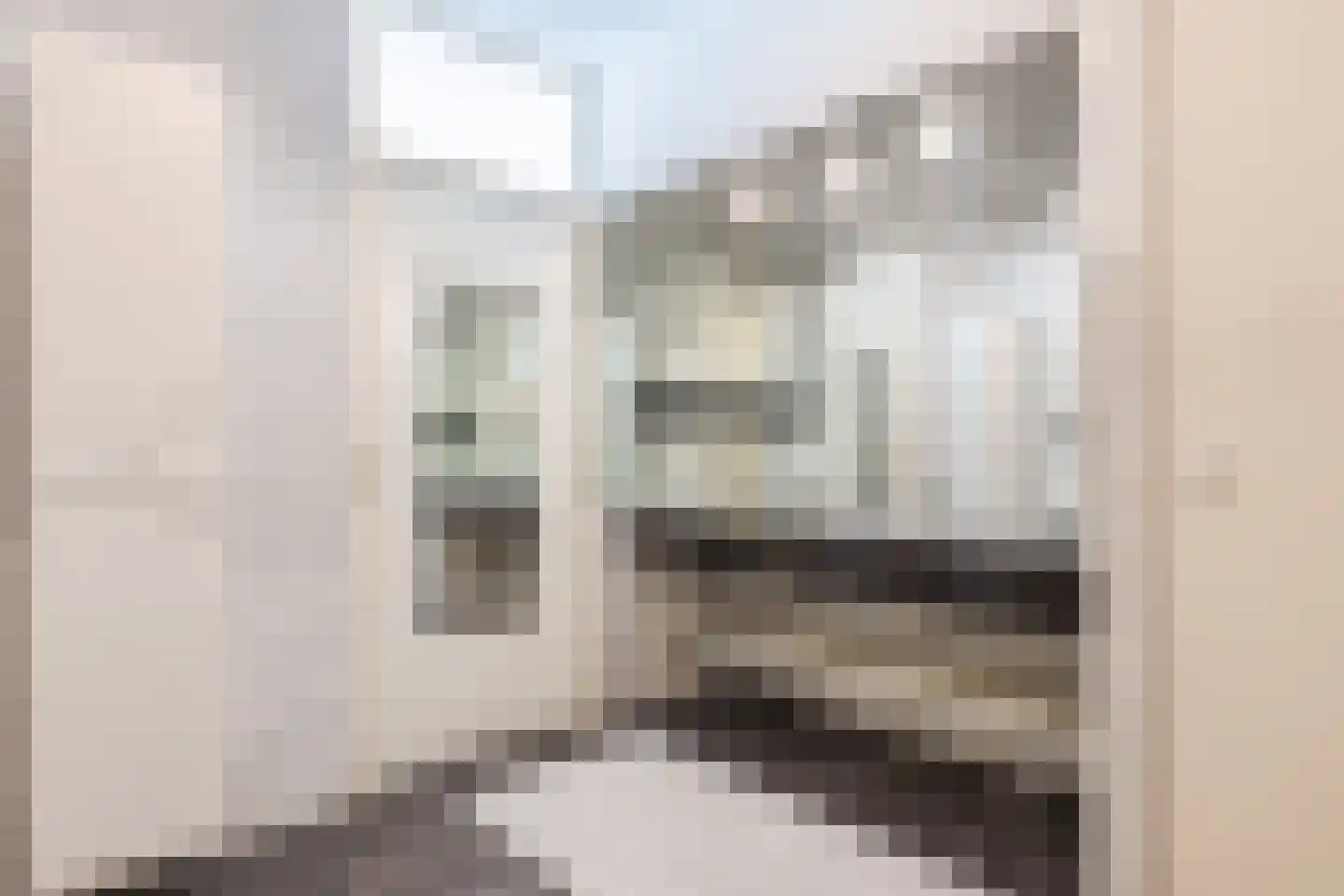 Tivolistraat 62 21 Tilburg thumbnail 24