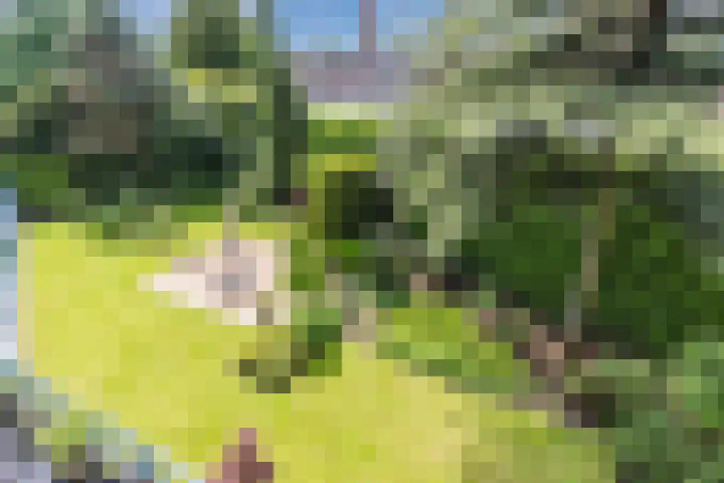 Tivolistraat 62 21 Tilburg thumbnail 32