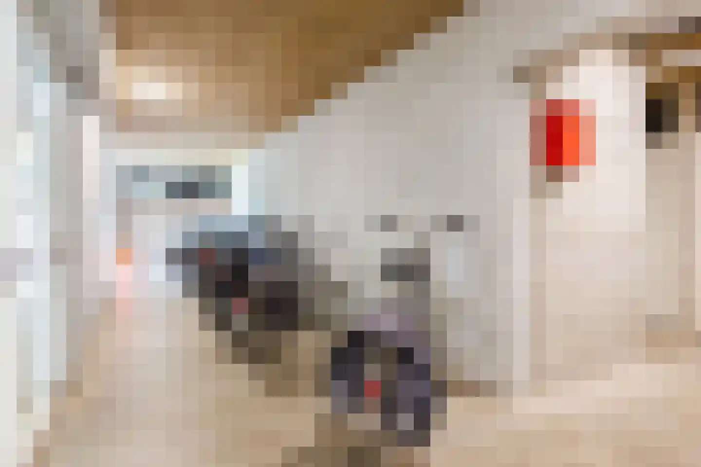 Tivolistraat 62 21 Tilburg thumbnail 33