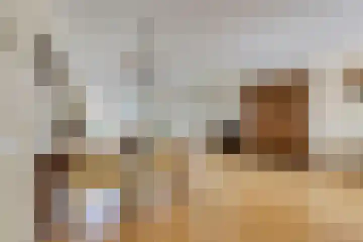 Tivolistraat 62 29 Tilburg thumbnail 11