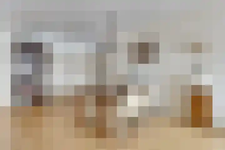 Tivolistraat 62 29 Tilburg thumbnail 15