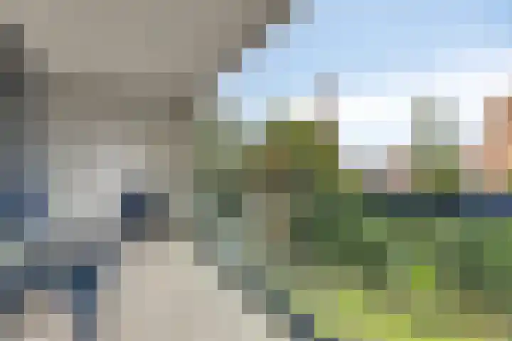 Tivolistraat 62 29 Tilburg thumbnail 18