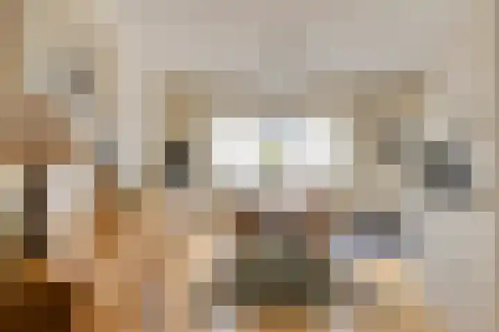 Tivolistraat 62 29 Tilburg thumbnail 21