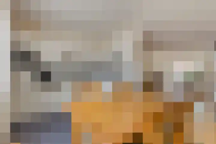 Tivolistraat 62 29 Tilburg thumbnail 23