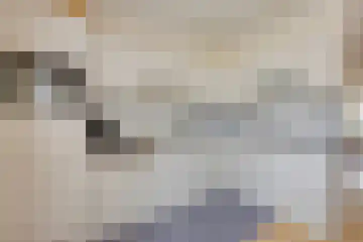 Tivolistraat 62 29 Tilburg thumbnail 24