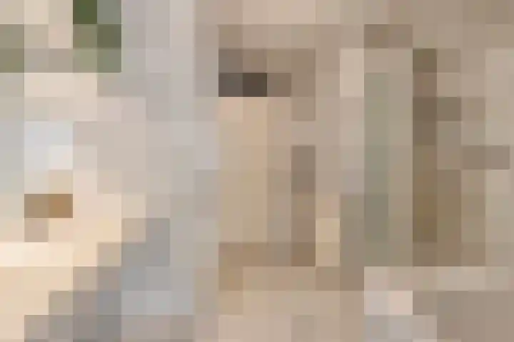 Tivolistraat 62 29 Tilburg thumbnail 30
