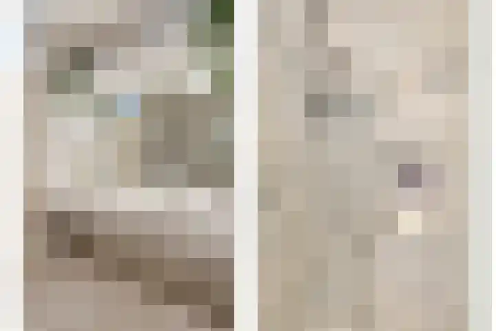 Tivolistraat 62 29 Tilburg thumbnail 31