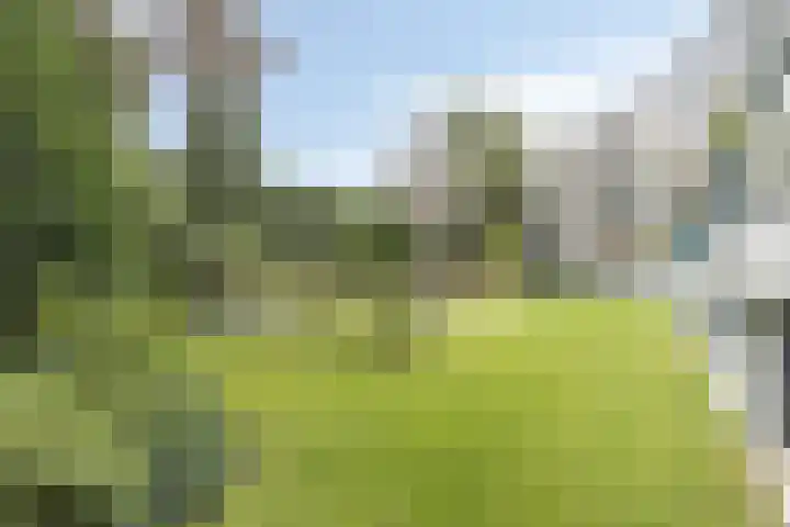 Tivolistraat 62 29 Tilburg thumbnail 32