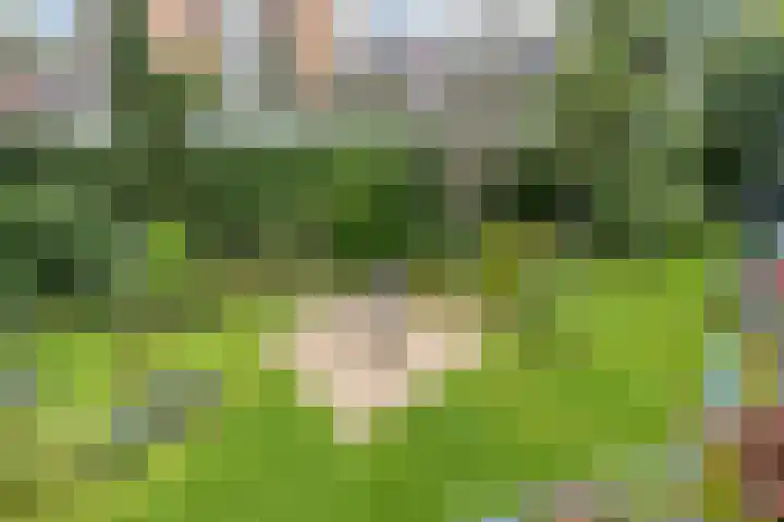 Tivolistraat 62 29 Tilburg thumbnail 34