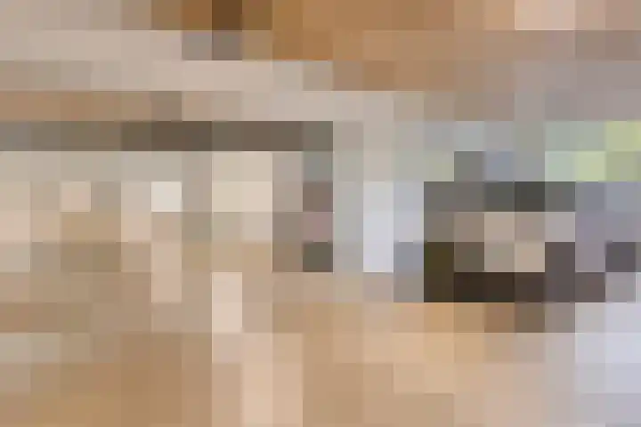 Tivolistraat 62 29 Tilburg thumbnail 35