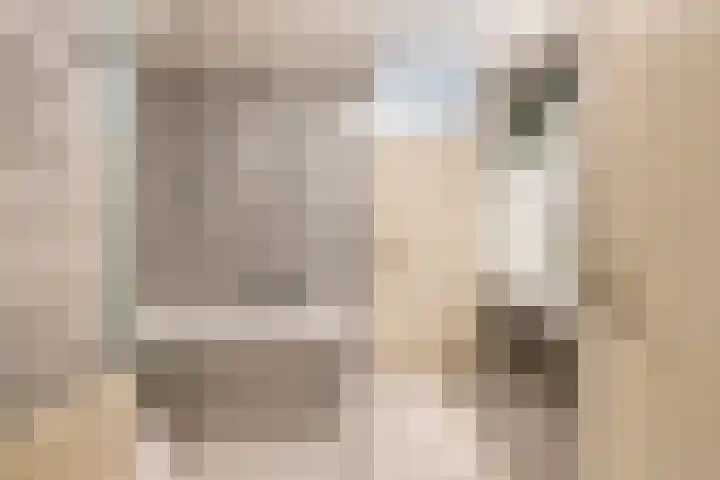 Tivolistraat 62 29 Tilburg thumbnail 4
