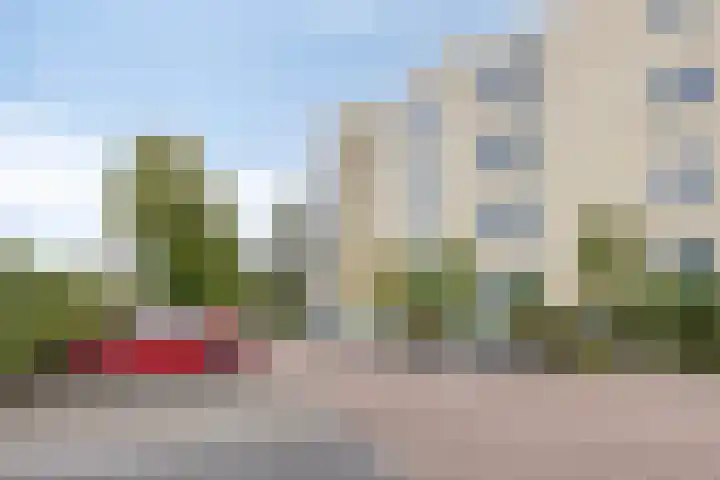 Tivolistraat 62 29 Tilburg thumbnail 5