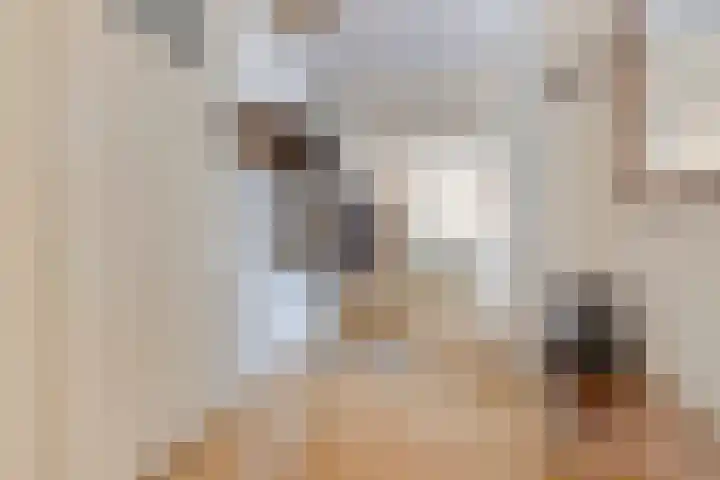 Tivolistraat 62 29 Tilburg thumbnail 9