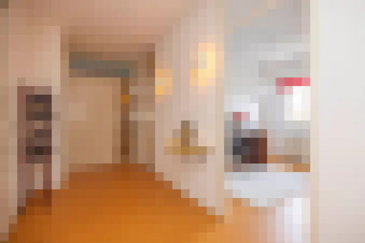 Tivolistraat 62 30 Tilburg thumbnail 13