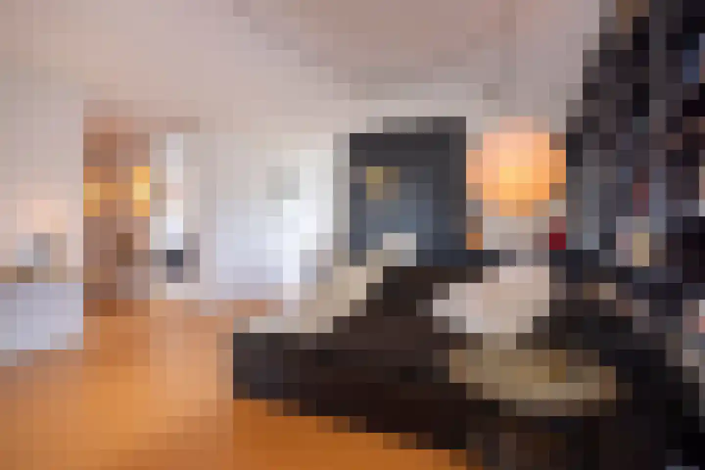 Tivolistraat 62 30 Tilburg thumbnail 18