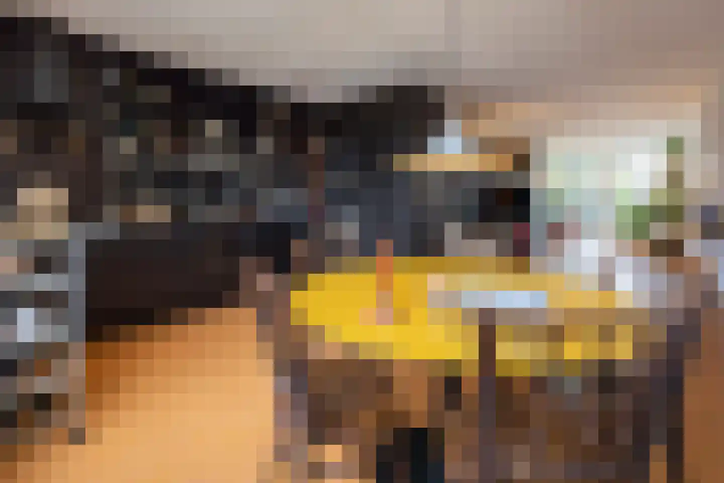 Tivolistraat 62 30 Tilburg thumbnail 24