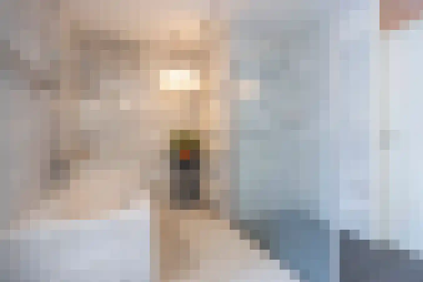 Tivolistraat 62 30 Tilburg thumbnail 32