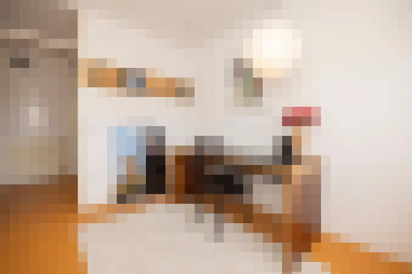 Tivolistraat 62 30 Tilburg thumbnail 36