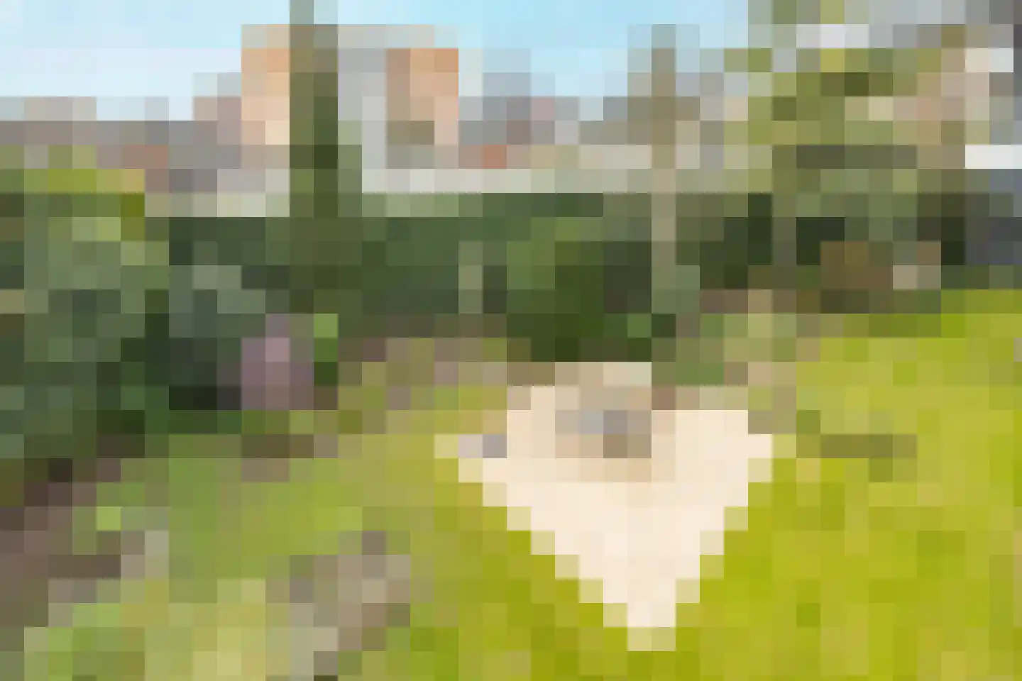 Tivolistraat 62 30 Tilburg thumbnail 42