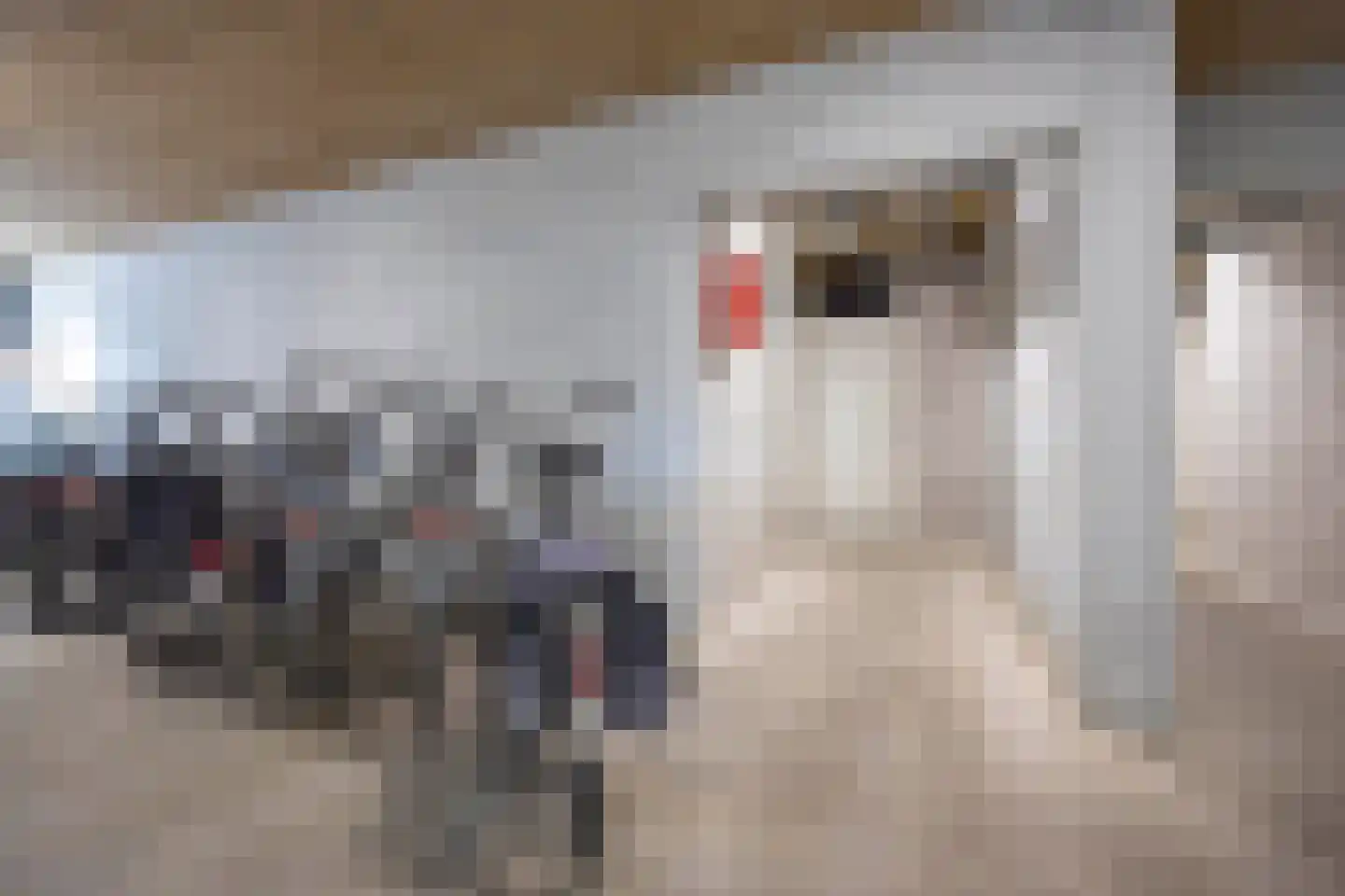 Tivolistraat 62 30 Tilburg thumbnail 50