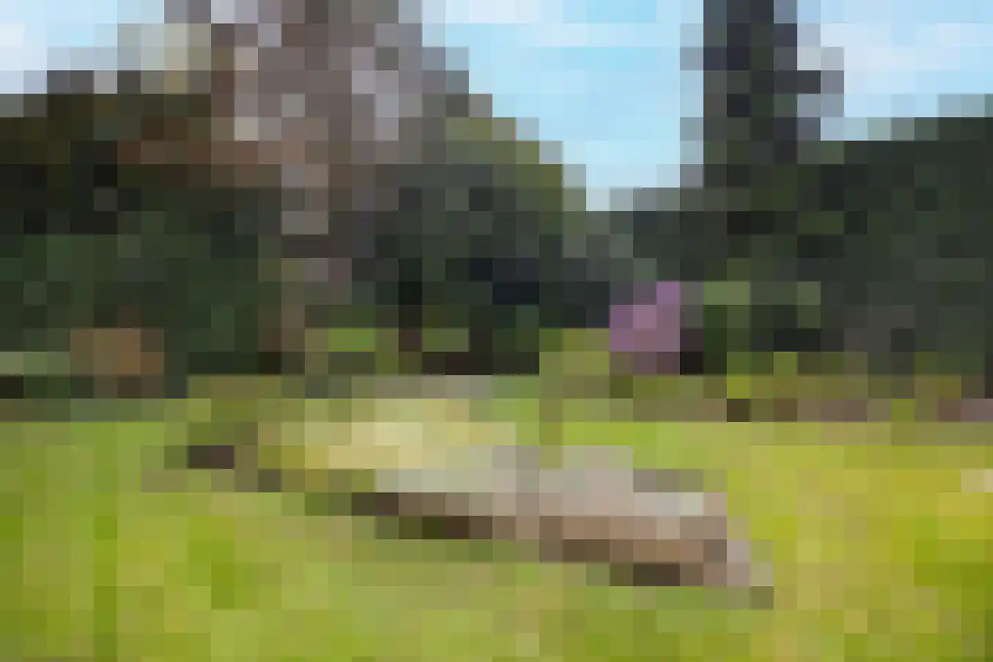 Tivolistraat 62 30 Tilburg thumbnail 59