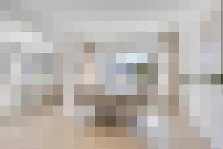 Tivoliweg 22 Hulst thumbnail 14