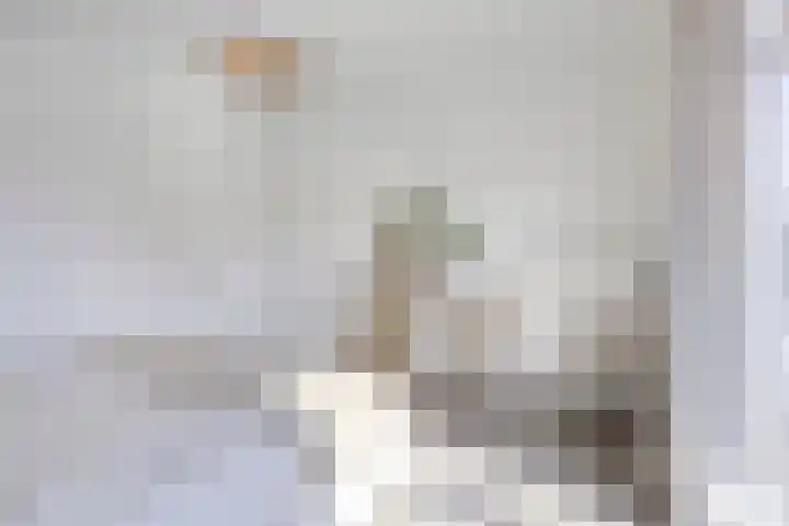 Tivoliweg 22 Hulst thumbnail 18