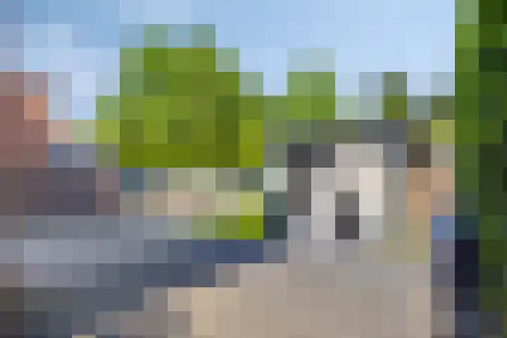 Tivoliweg 22 Hulst thumbnail 35