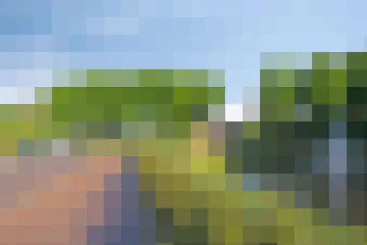 Tivoliweg 22 Hulst thumbnail 41