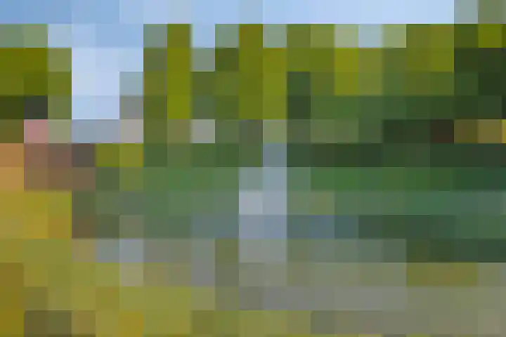 Tivoliweg 22 Hulst thumbnail 42