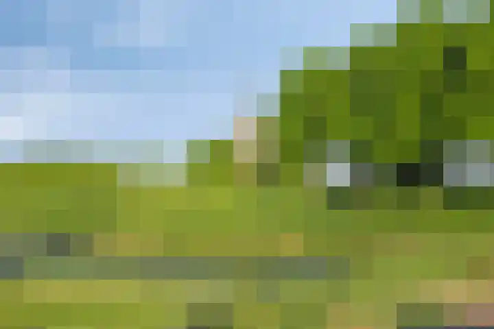 Tivoliweg 22 Hulst thumbnail 43