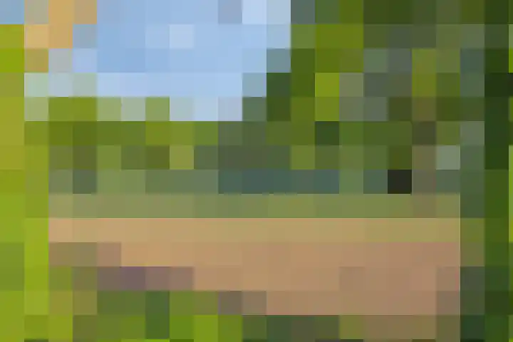 Tivoliweg 22 Hulst thumbnail 44