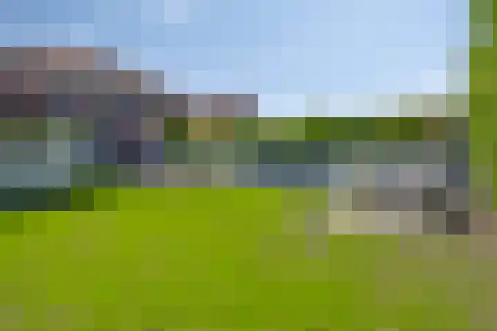 Tivoliweg 22 Hulst thumbnail 5