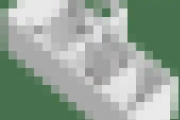 Tivoliweg 22 Hulst thumbnail 53