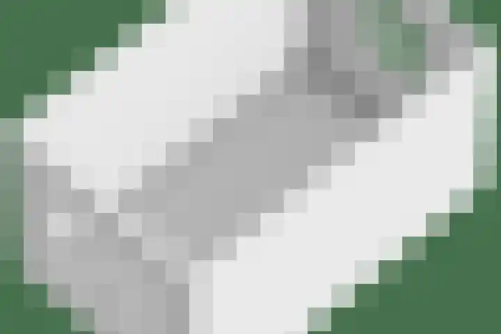 Tivoliweg 22 Hulst thumbnail 54