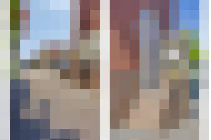 Tivoliweg 22 Hulst thumbnail 7