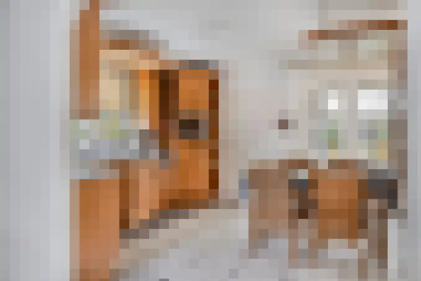 Tivoliweg 65 Hulst thumbnail 10