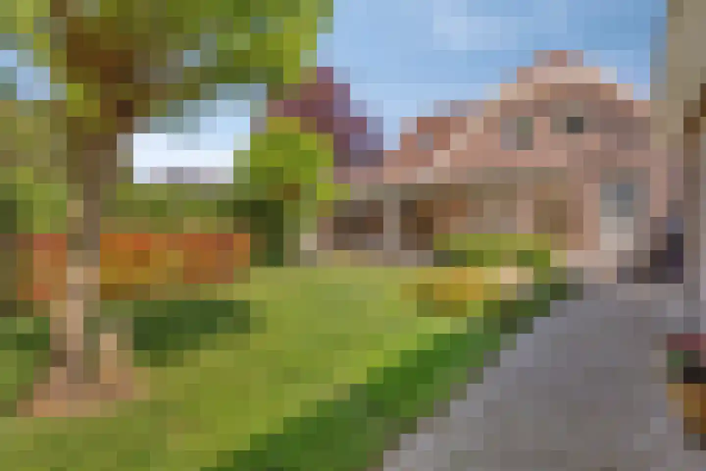 Tivoliweg 65 Hulst thumbnail 34