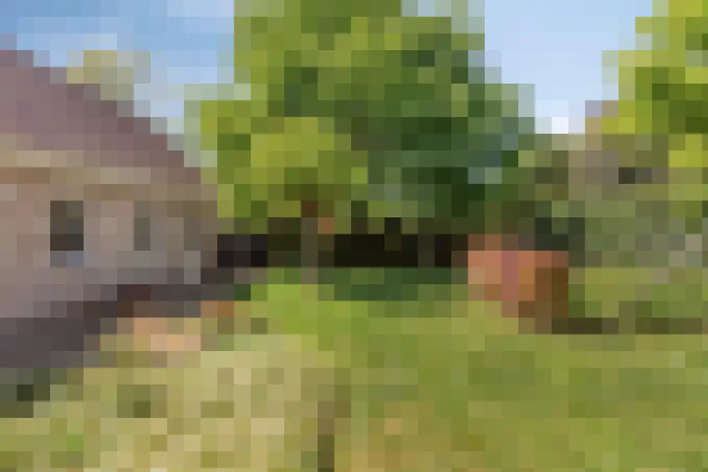 Tivoliweg 65 Hulst thumbnail 36