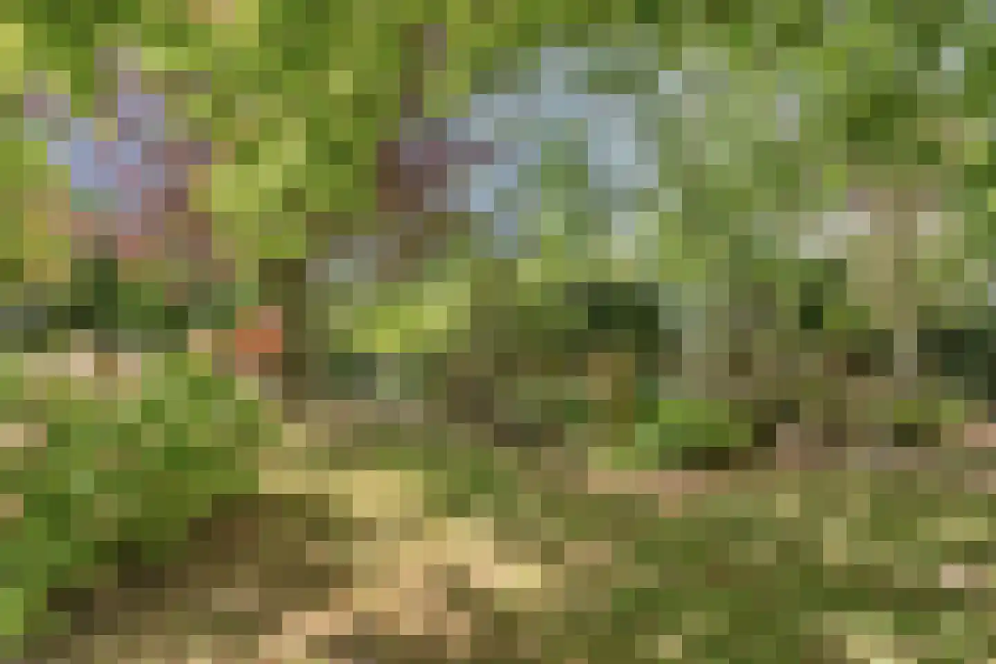 Tivoliweg 65 Hulst thumbnail 40