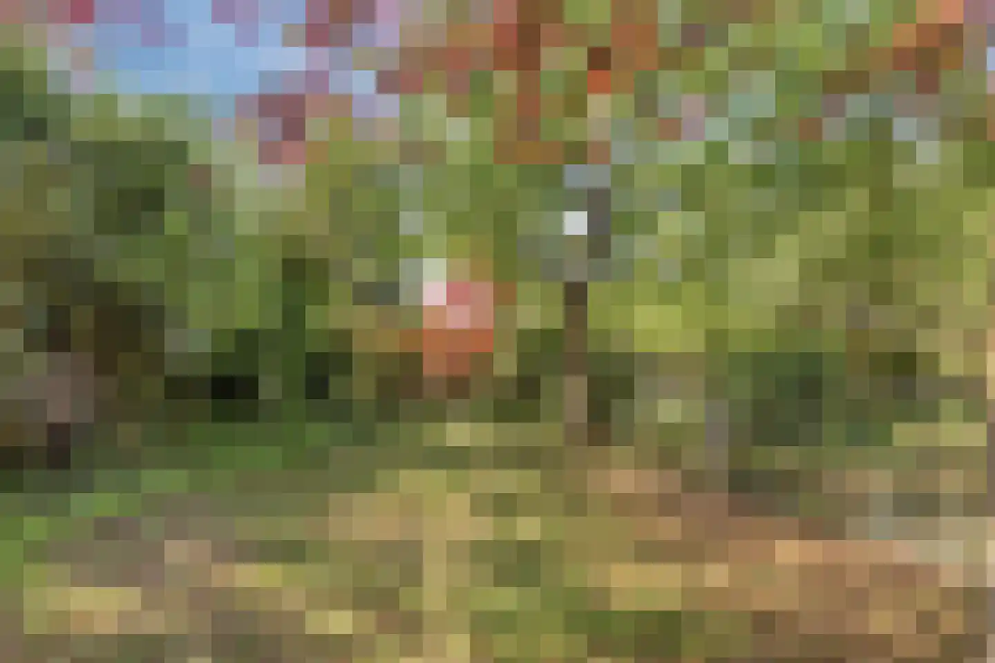 Tivoliweg 65 Hulst thumbnail 41
