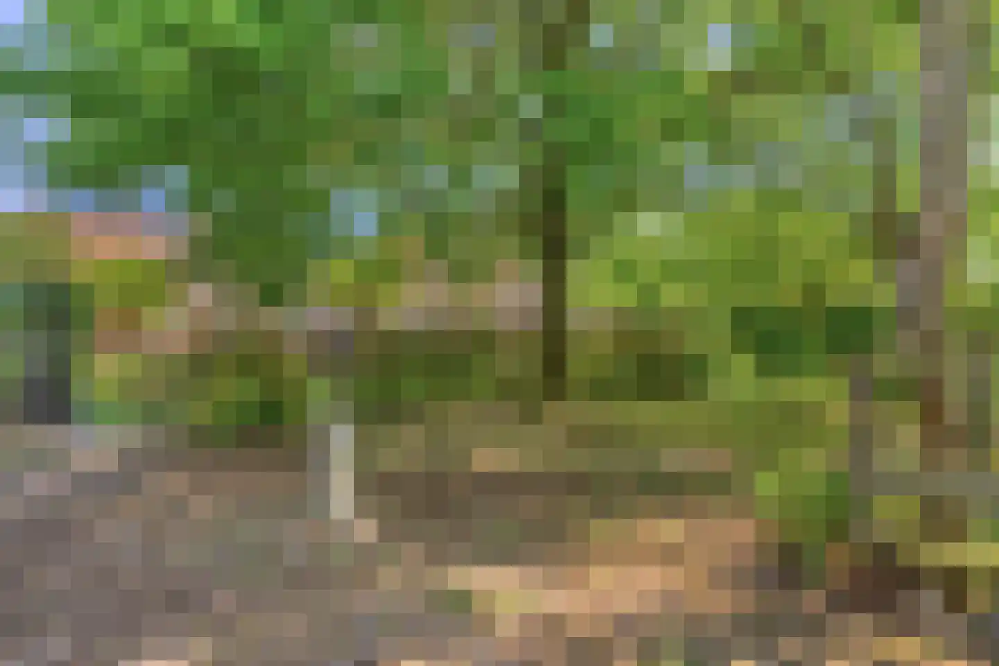 Tivoliweg 65 Hulst thumbnail 42