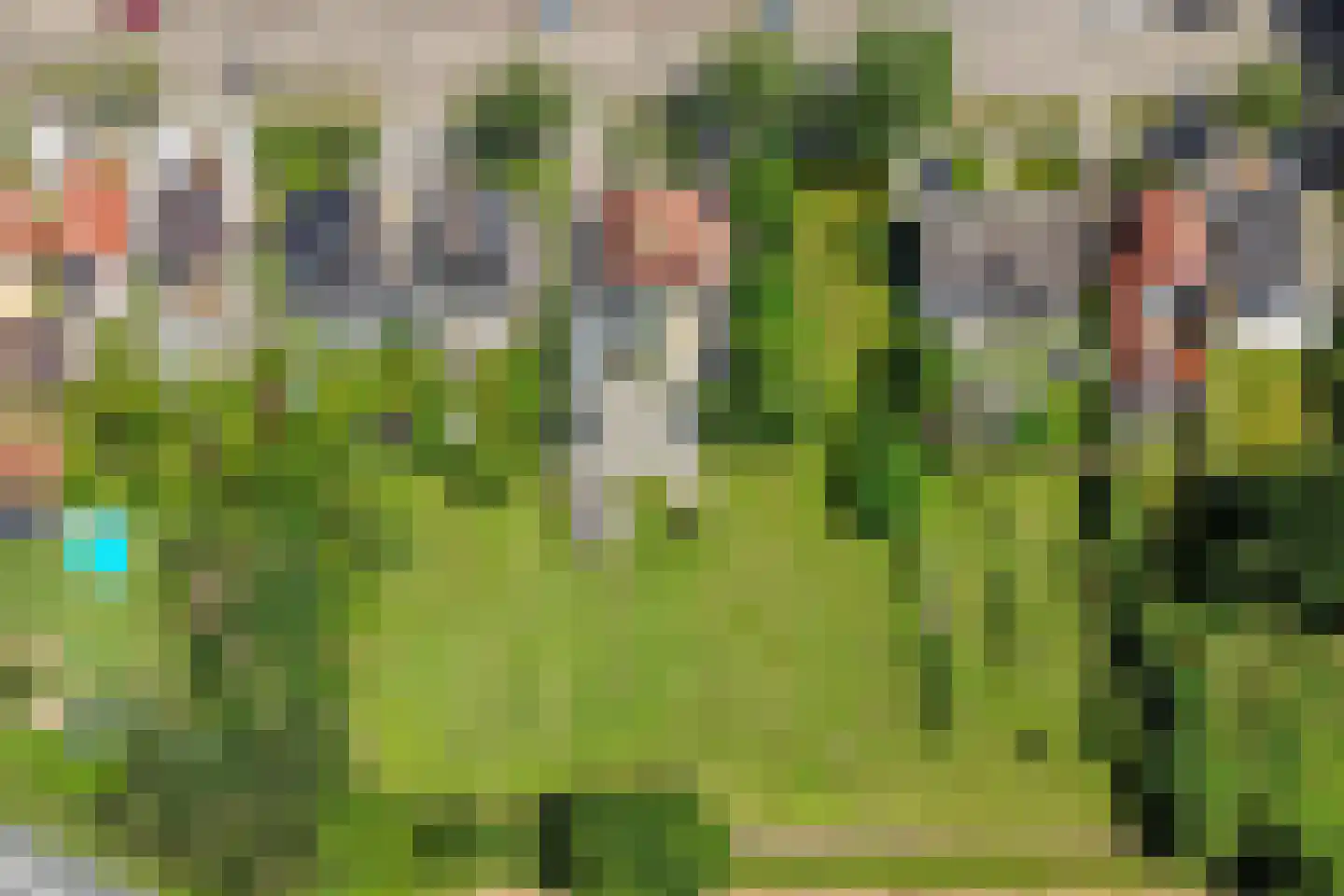 Tivoliweg 85 Hulst thumbnail 38