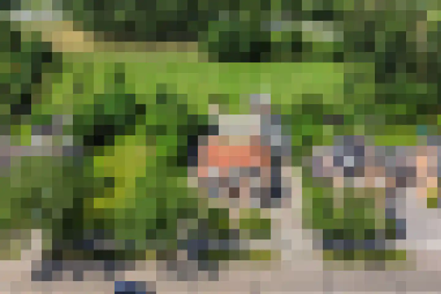 Tivoliweg 85 Hulst thumbnail 39