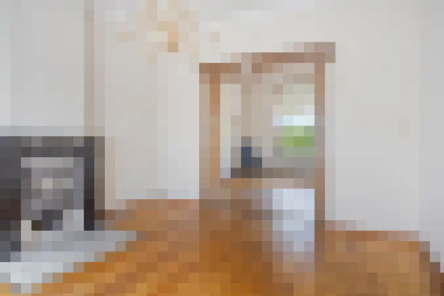 Tivoliweg 85 Hulst thumbnail 6
